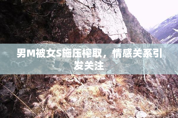 男M被女S施压榨取，情感关系引发关注