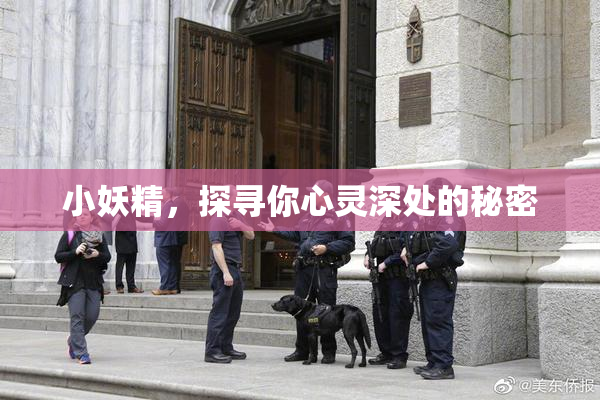 小妖精，探寻你心灵深处的秘密