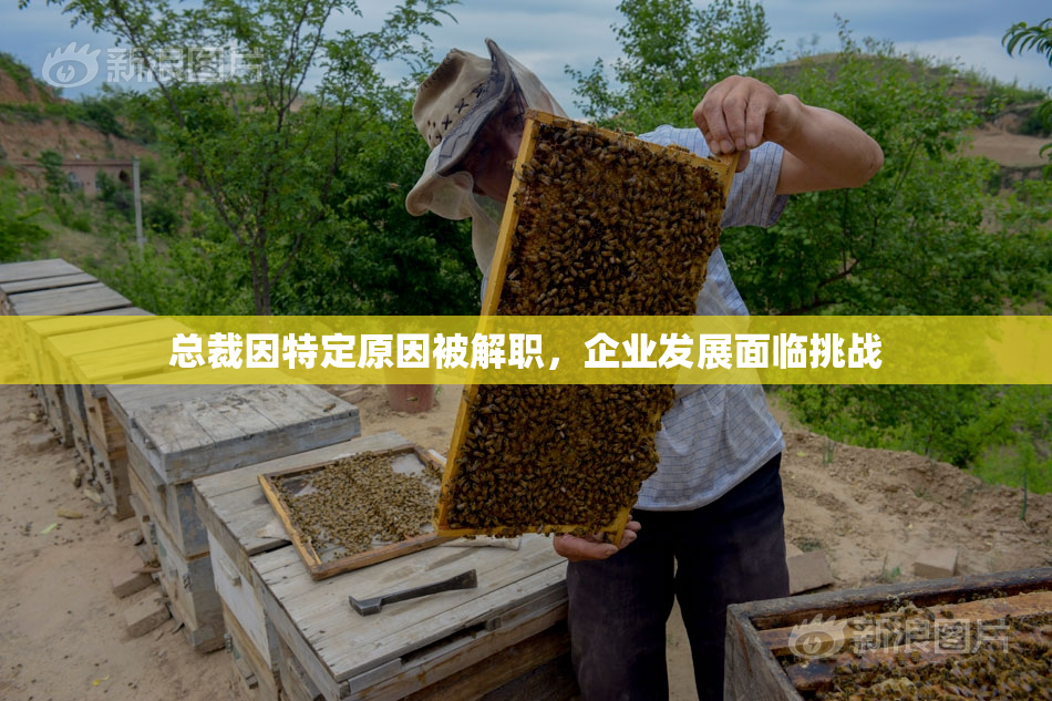 总裁因特定原因被解职，企业发展面临挑战