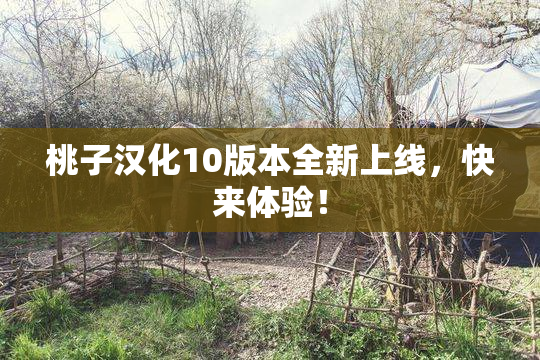 桃子汉化10版本全新上线，快来体验！