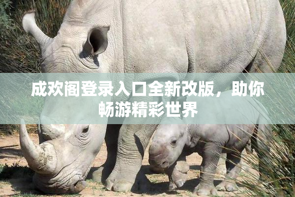 成欢阁登录入口全新改版，助你畅游精彩世界