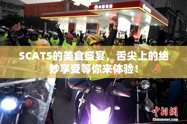 SCATS的美食盛宴，舌尖上的绝妙享受等你来体验！