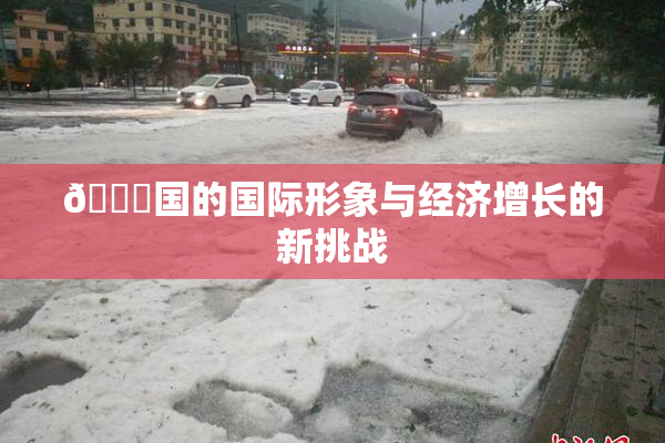 🔞国的国际形象与经济增长的新挑战