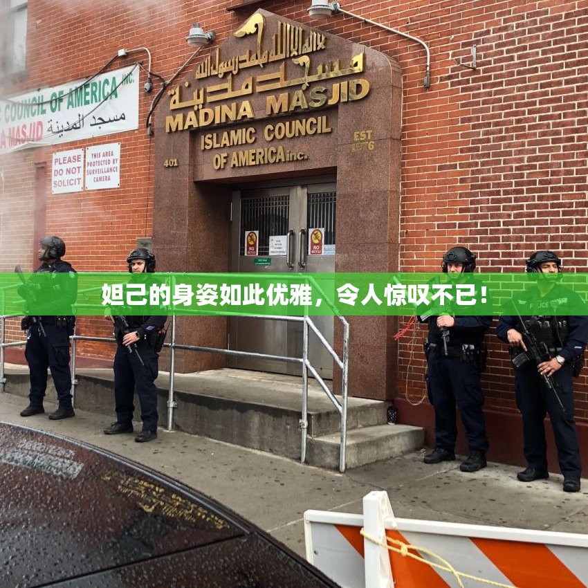 妲己的身姿如此优雅，令人惊叹不已！
