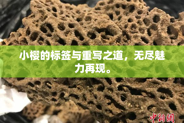小樱的标签与重写之道，无尽魅力再现。