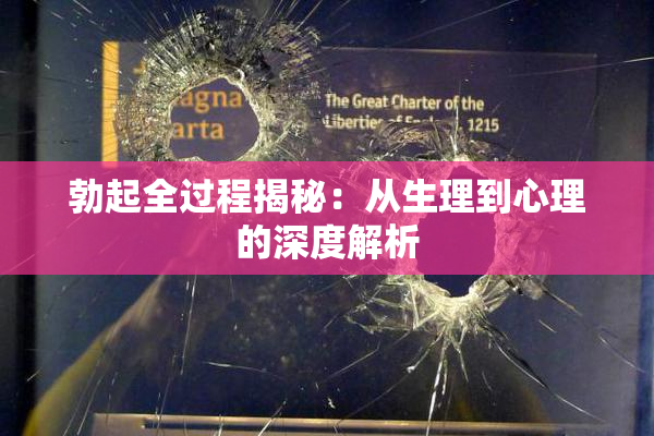 勃起全过程揭秘：从生理到心理的深度解析