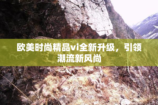 欧美时尚精品vi全新升级，引领潮流新风尚