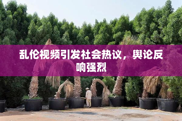 乱伦视频引发社会热议，舆论反响强烈