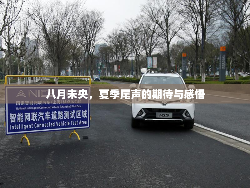 八月未央，夏季尾声的期待与感悟