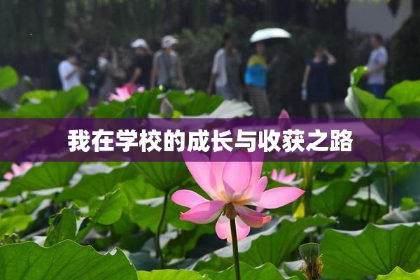 我在学校的成长与收获之路