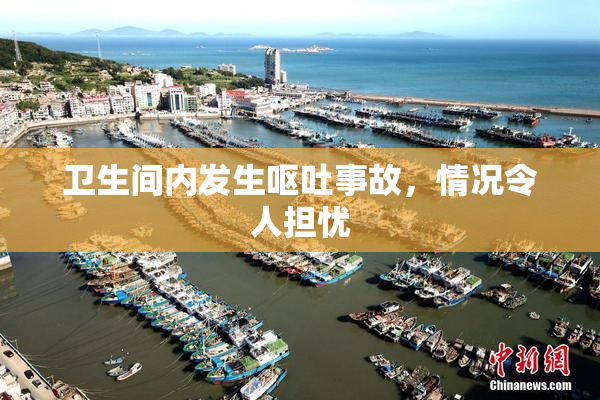 卫生间内发生呕吐事故，情况令人担忧