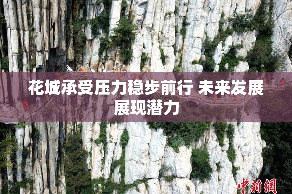 花城承受压力稳步前行 未来发展展现潜力