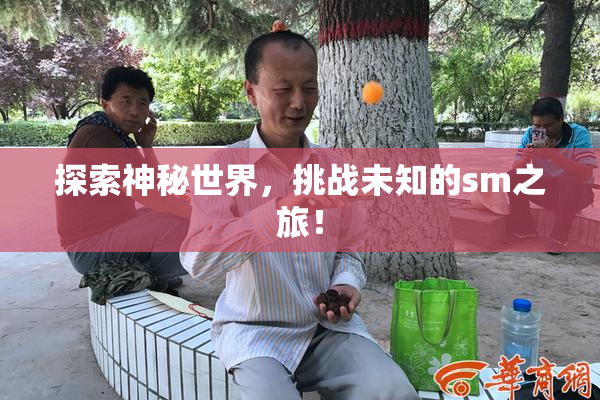 探索神秘世界，挑战未知的sm之旅！