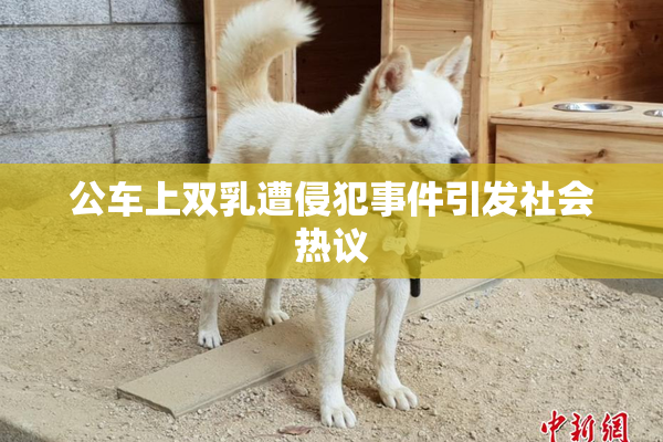 公车上双乳遭侵犯事件引发社会热议