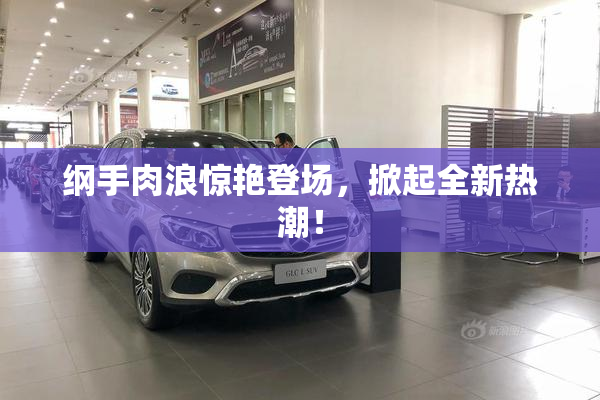 纲手肉浪惊艳登场，掀起全新热潮！
