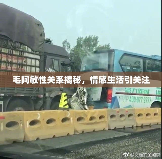 毛阿敏性关系揭秘，情感生活引关注