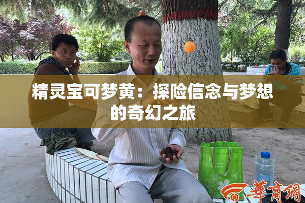 精灵宝可梦黄：探险信念与梦想的奇幻之旅