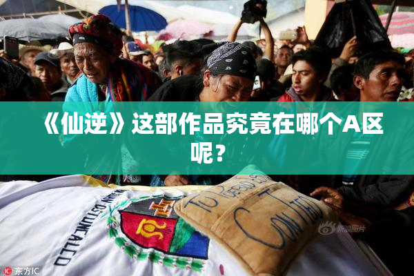 《仙逆》这部作品究竟在哪个A区呢？