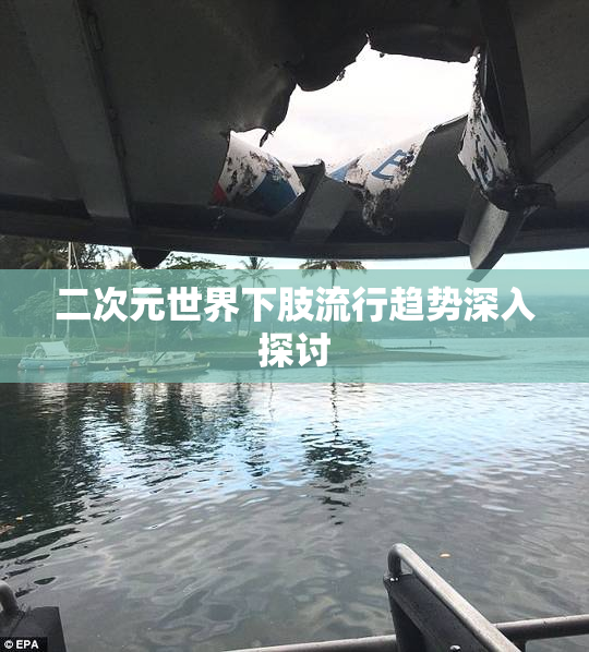二次元世界下肢流行趋势深入探讨
