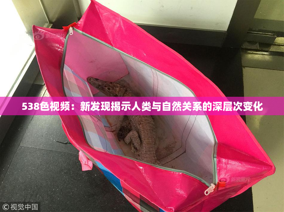 538色视频：新发现揭示人类与自然关系的深层次变化