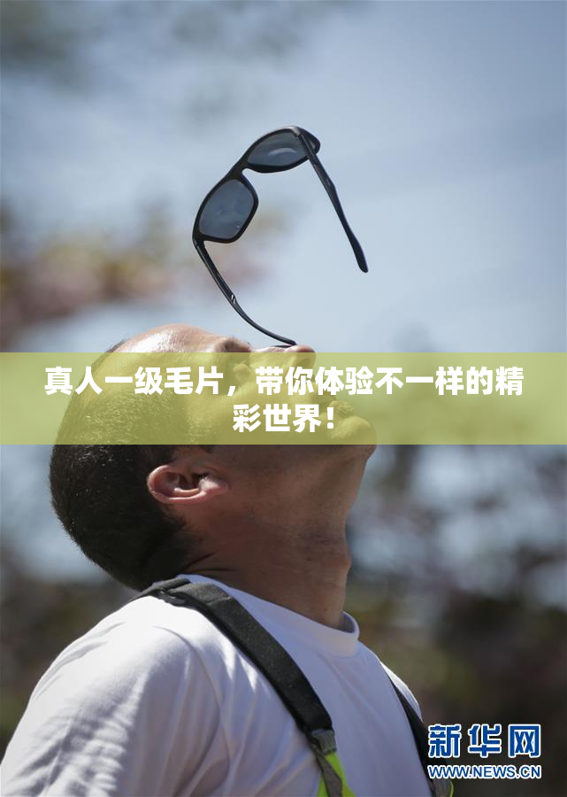 真人一级毛片，带你体验不一样的精彩世界！