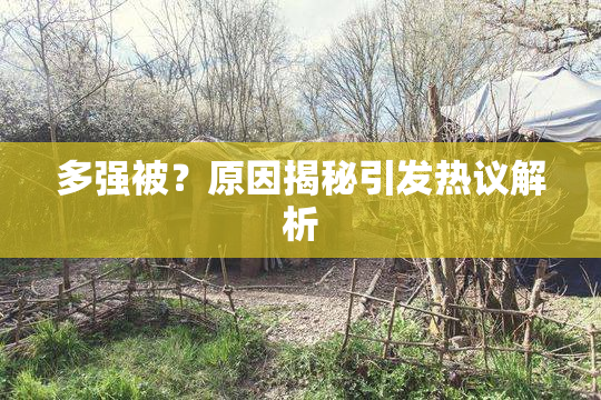 多强被？原因揭秘引发热议解析