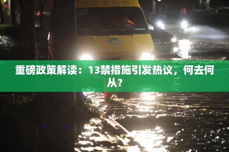 重磅政策解读：13禁措施引发热议，何去何从？