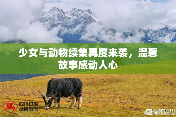 少女与动物续集再度来袭，温馨故事感动人心