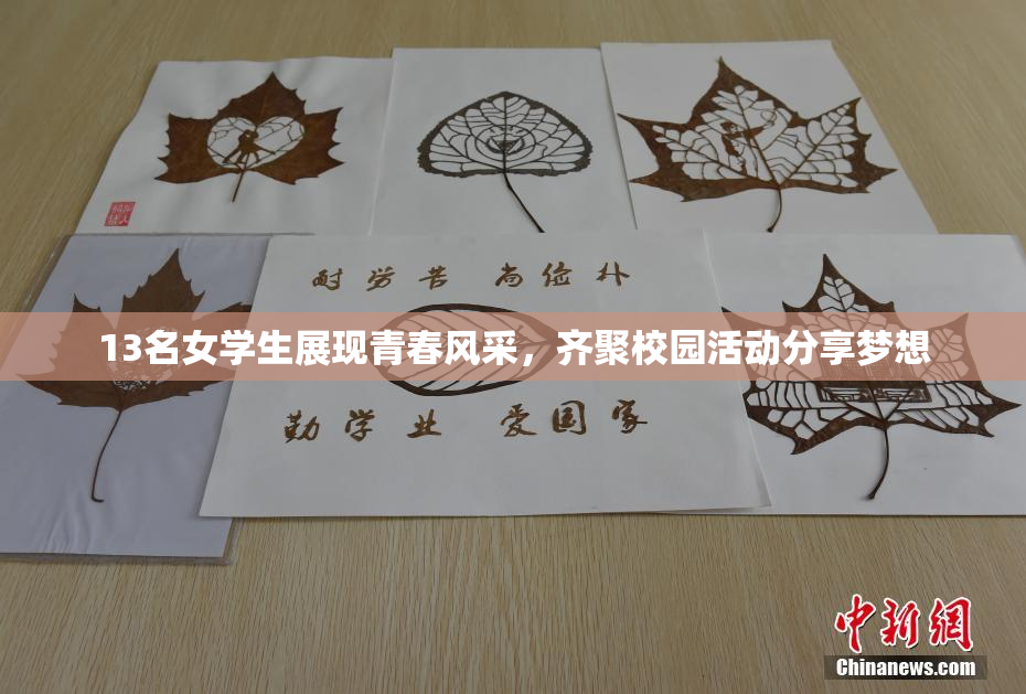 13名女学生展现青春风采，齐聚校园活动分享梦想
