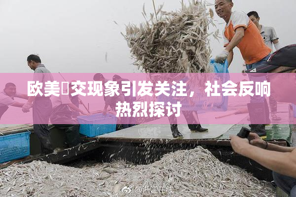 欧美嘼交现象引发关注，社会反响热烈探讨