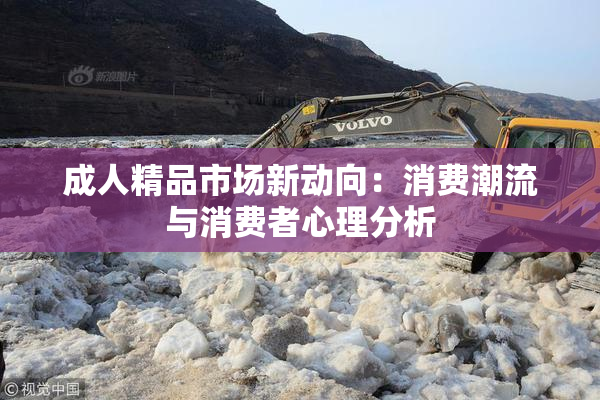 成人精品市场新动向：消费潮流与消费者心理分析