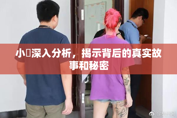小泬深入分析，揭示背后的真实故事和秘密