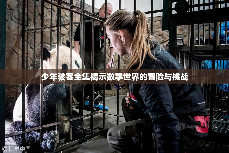 少年骇客全集揭示数字世界的冒险与挑战