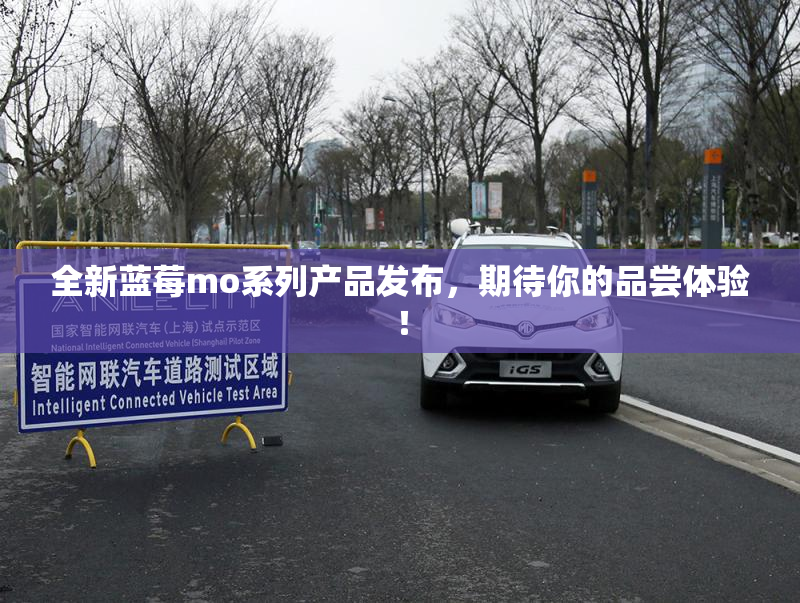全新蓝莓mo系列产品发布，期待你的品尝体验！