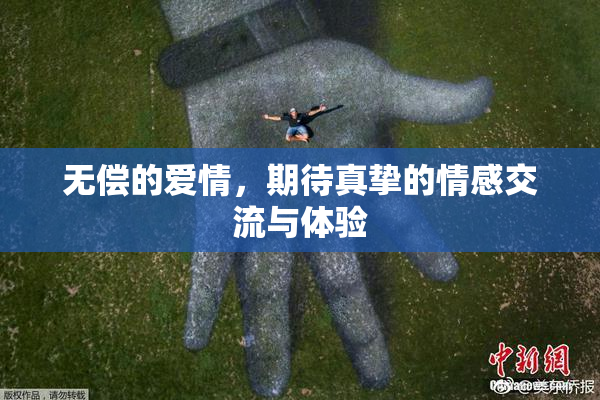 无偿的爱情，期待真挚的情感交流与体验