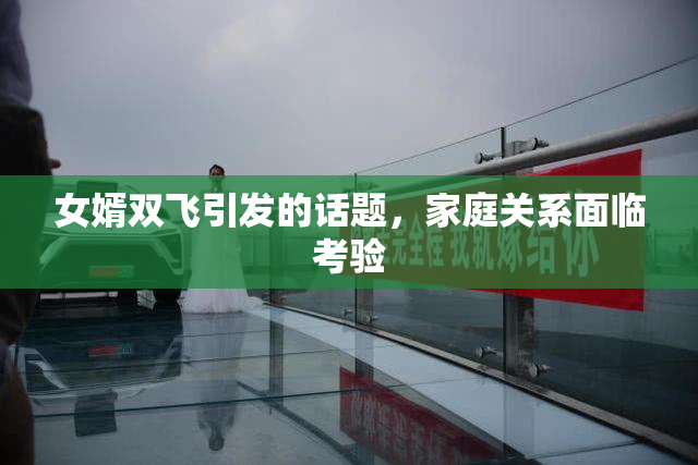 女婿双飞引发的话题，家庭关系面临考验
