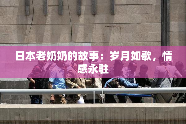 日本老奶奶的故事：岁月如歌，情感永驻