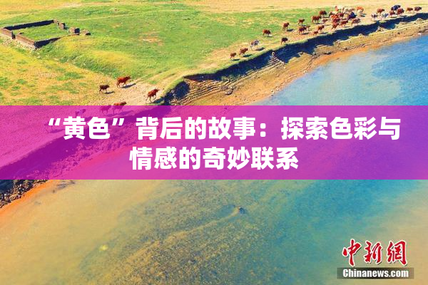 “黄色”背后的故事：探索色彩与情感的奇妙联系