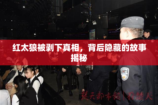 红太狼被剥下真相，背后隐藏的故事揭秘