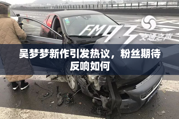 吴梦梦新作引发热议，粉丝期待反响如何
