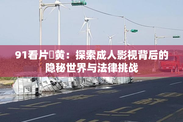 91看片婬黄：探索成人影视背后的隐秘世界与法律挑战