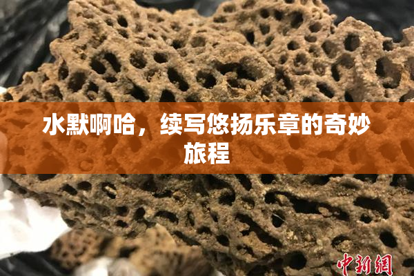 水默啊哈，续写悠扬乐章的奇妙旅程