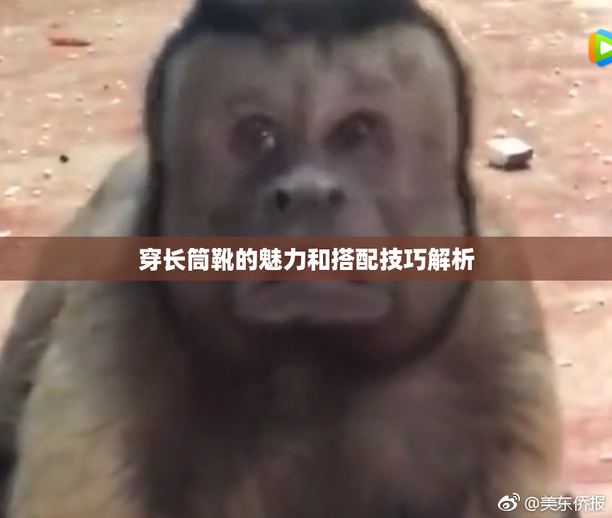 穿长筒靴的魅力和搭配技巧解析