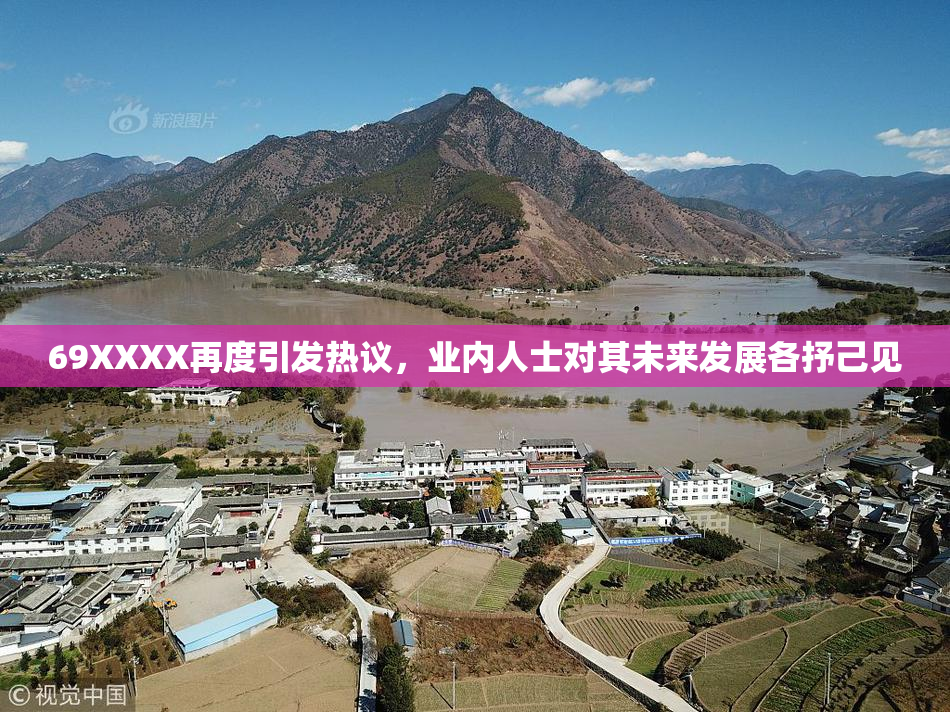 69XXXX再度引发热议，业内人士对其未来发展各抒己见