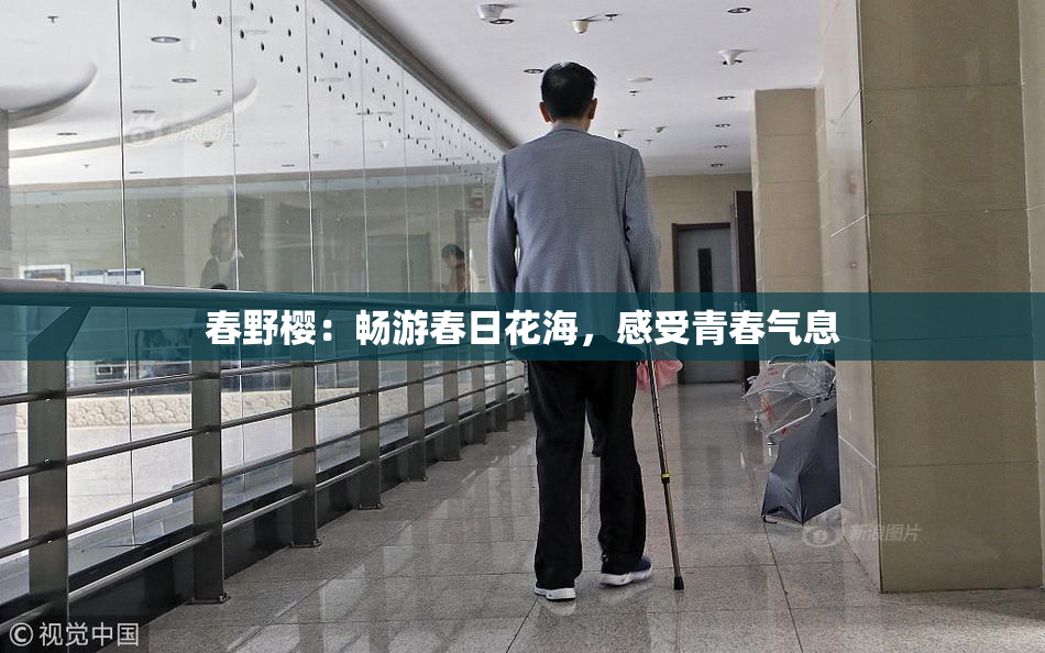 春野樱：畅游春日花海，感受青春气息
