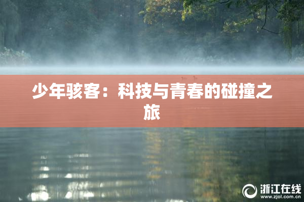 少年骇客：科技与青春的碰撞之旅