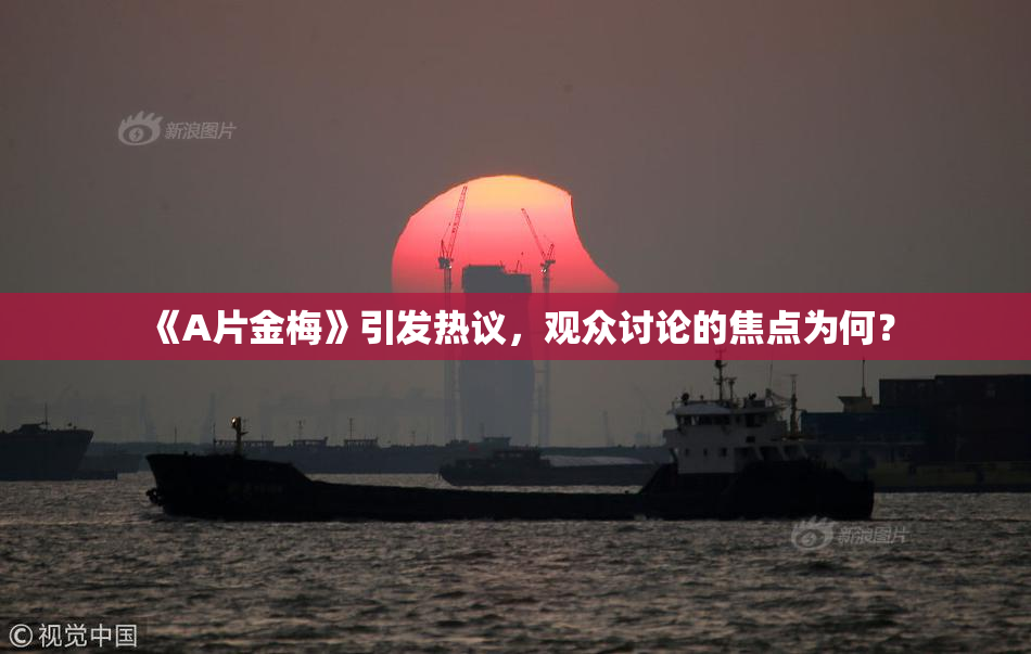 《A片金梅》引发热议，观众讨论的焦点为何？
