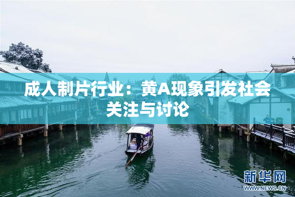 成人制片行业：黄A现象引发社会关注与讨论