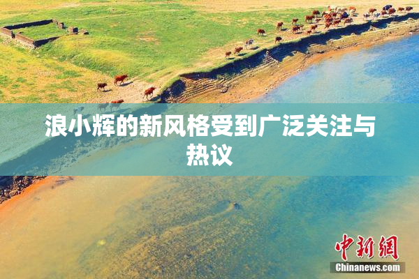 浪小辉的新风格受到广泛关注与热议