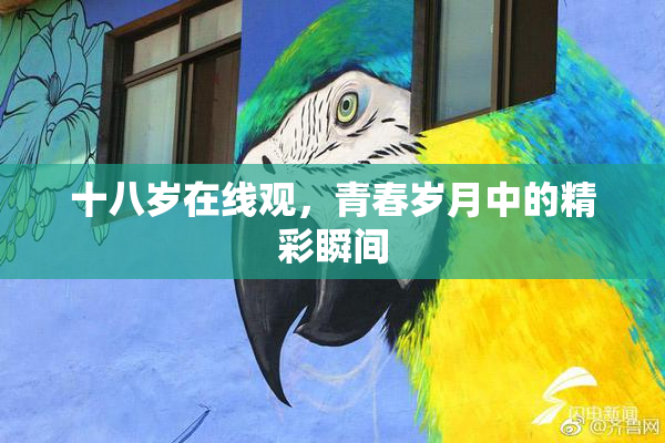十八岁在线观，青春岁月中的精彩瞬间